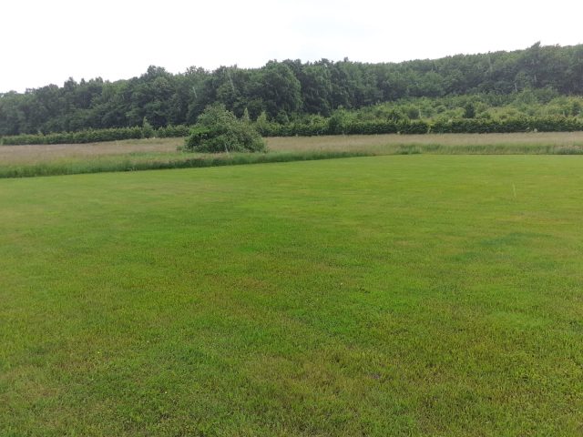 WhatsApp Image 2021-06-02 at 12.01.04