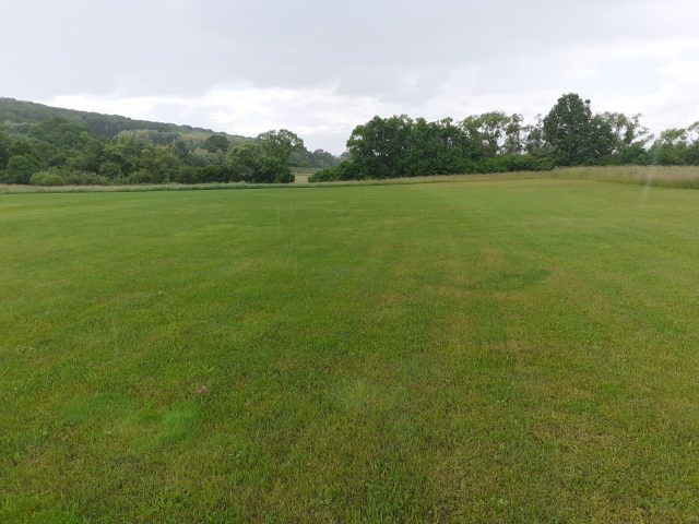 WhatsApp Image 2021-06-02 at 12.01.06 (1)